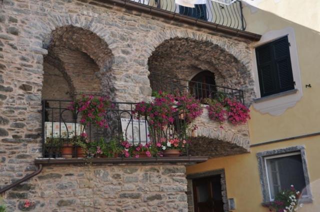 La Meridiana Casale Pignone Exteriér fotografie