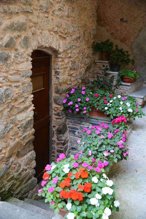 La Meridiana Casale Pignone Pokoj fotografie